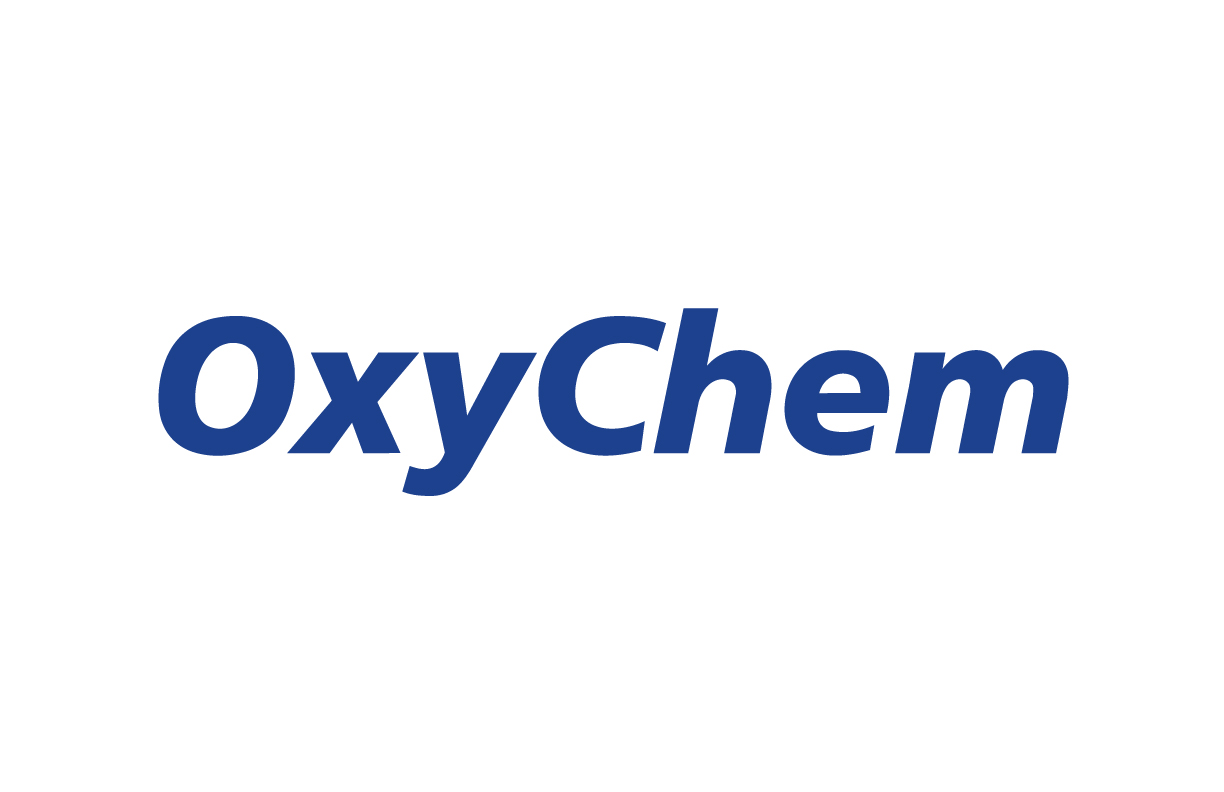 System Logo